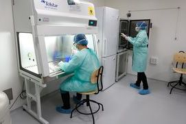 Nuevo avance de Fundación IMO para el tratamiento de enfermedades de la retina sin cura