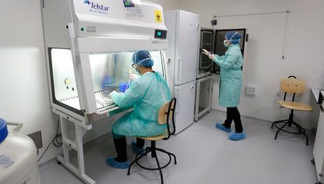 Nuevo avance de Fundación IMO para el tratamiento de enfermedades de la retina sin cura