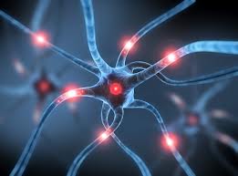 Neurosurgery