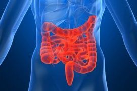 Investigación en CANCER DE COLON